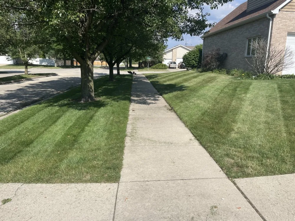 Expert yard maintenance experts serving Joliet, IL - Mow It