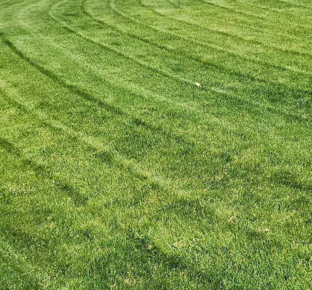 Expert residential landscaping with custom design in Klamath Falls, OR by Mow-It