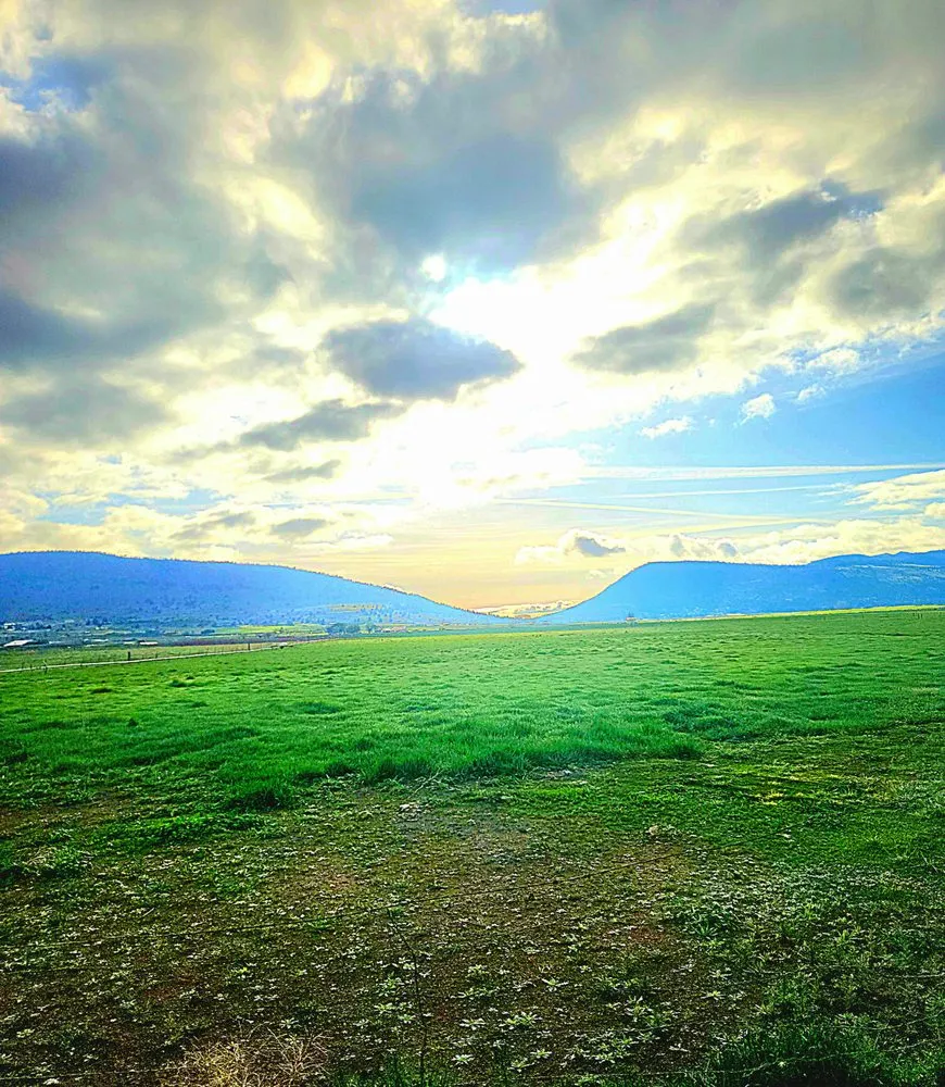 Local residential landscaping for year-round maintenance across Klamath Falls, OR - Mow-It