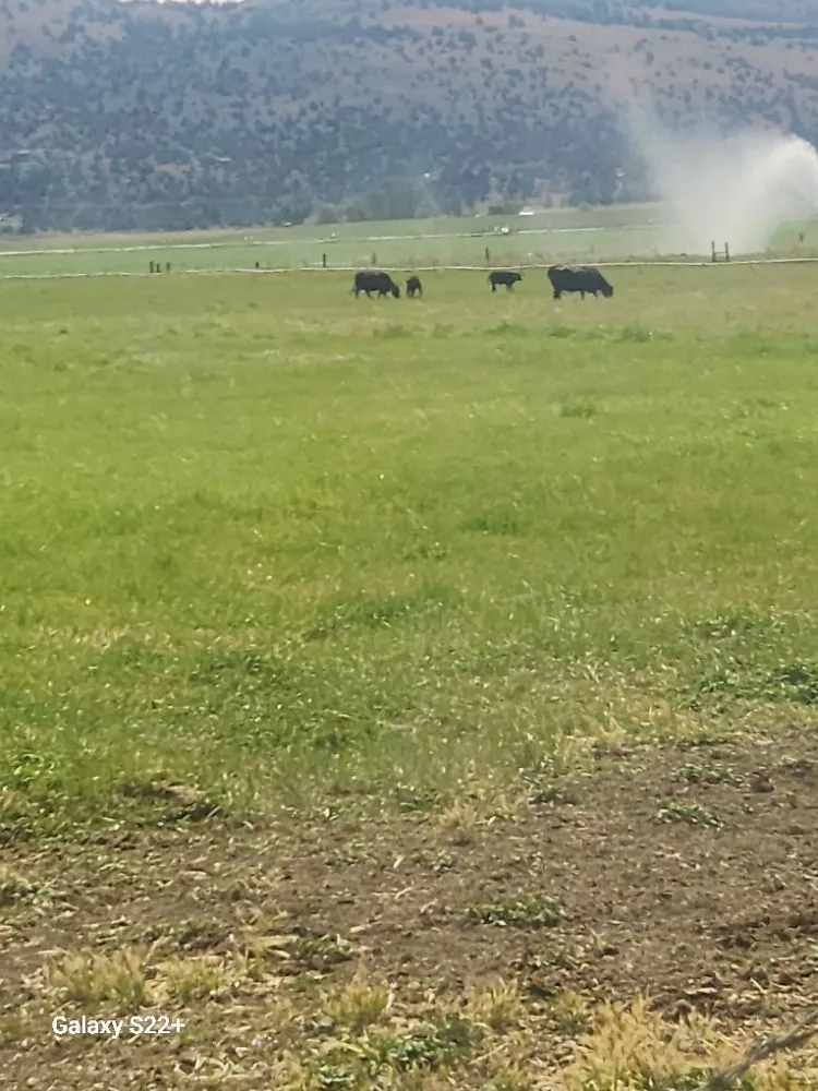 Top-rated lawn care service in Klamath Falls, OR - Mow-It