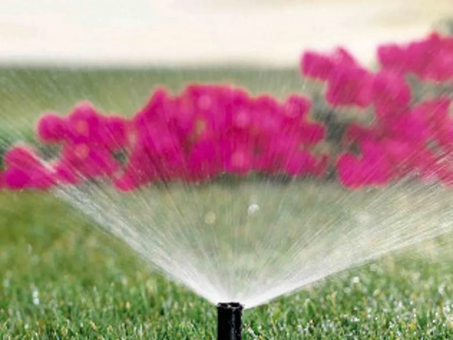 Affordable garden landscaping experts serving Olive Branch, MS - Mow It Right