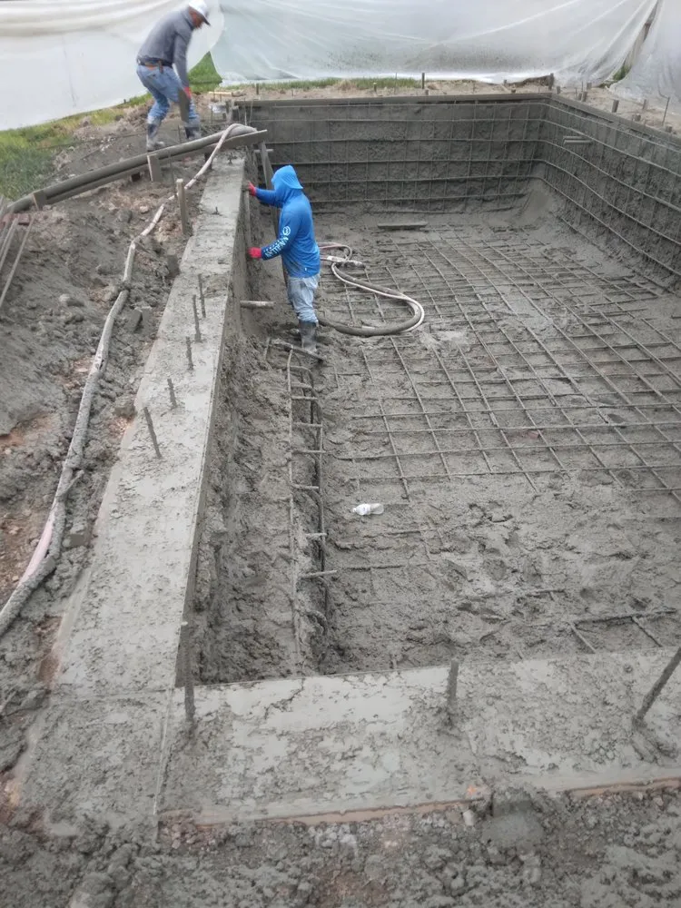 Local yard maintenance for homes in Donna, TX by Mow Joe