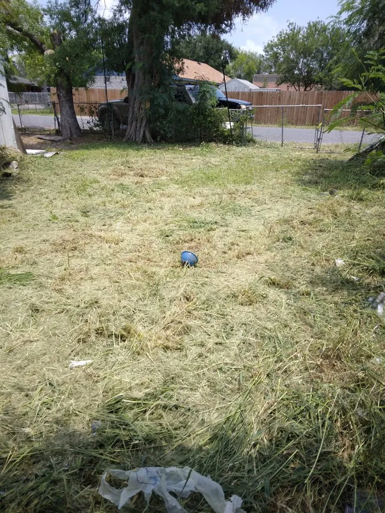 Reliable landscape design for homes in Donna, TX by Mow Joe