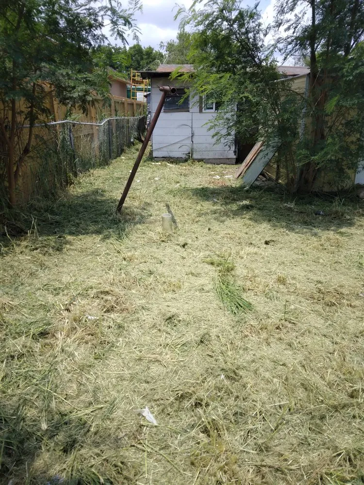 Custom yard maintenance for outdoor upgrades across Donna, TX - Mow Joe