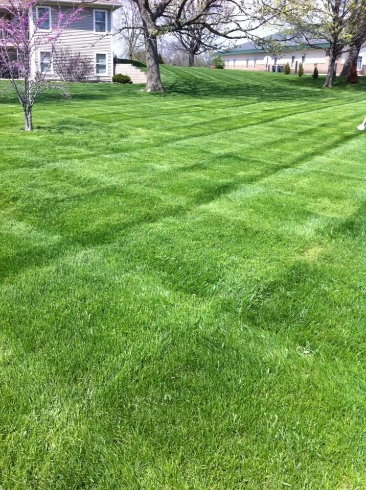 Trusted yard cleanup service in Cedar Rapids, IA by Mow Joe Lawn and Landscape