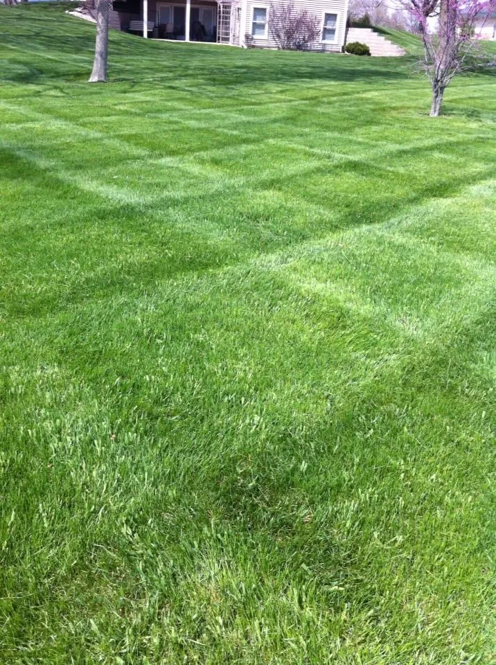 Expert lawn care service in Cedar Rapids, IA by Mow Joe Lawn and Landscape