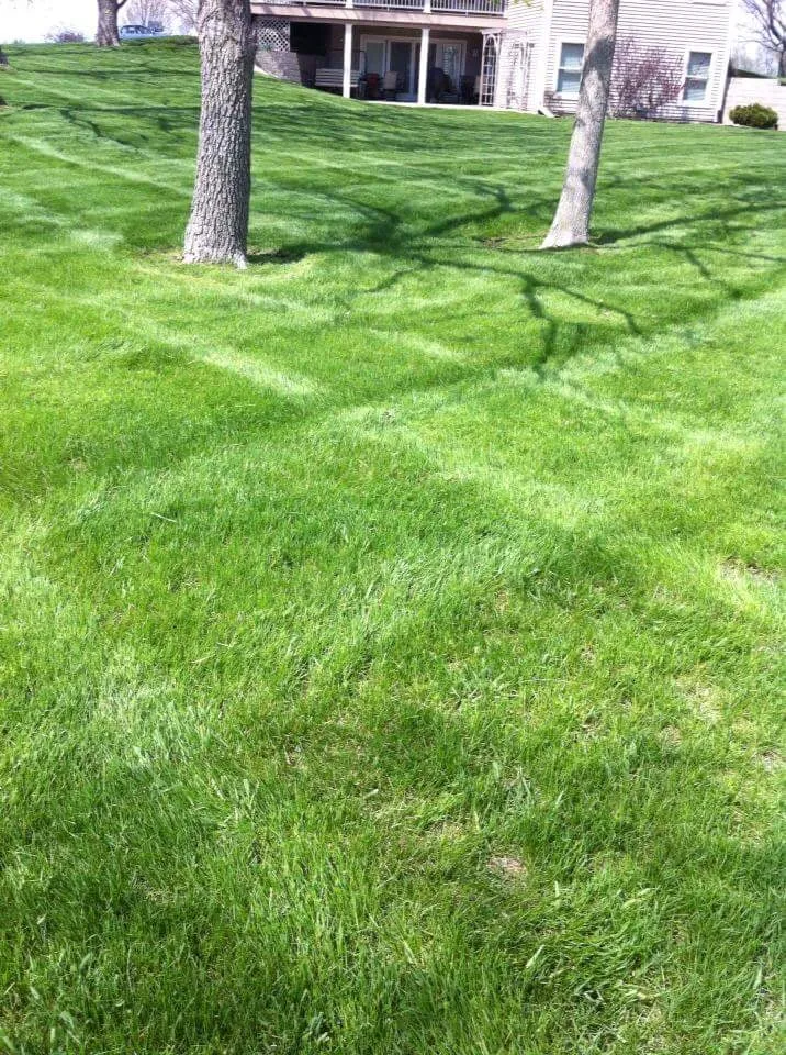 Local landscape installation for outdoor upgrades across Cedar Rapids, IA - Mow Joe Lawn and Landscape