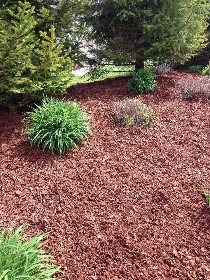 Affordable landscaping services in Cedar Rapids, IA - Mow Joe Lawn and Landscape