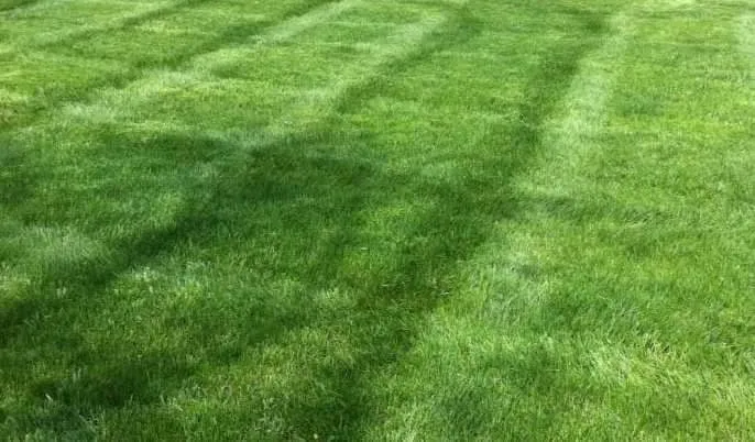 Reliable landscaping services for beautiful yards across Cedar Rapids, IA - Mow Joe Lawn and Landscape