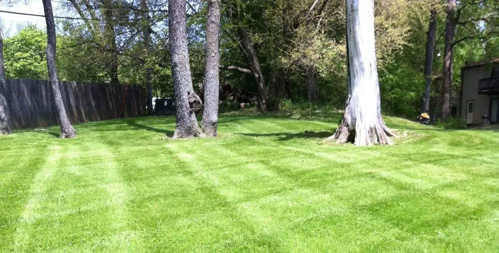 Expert lawn mowing service for outdoor upgrades in Cedar Rapids, IA by Mow Joe Lawn and Landscape