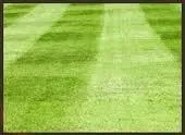 Top-rated lawn care service experts serving Cedar Rapids, IA - Mow Joe Lawn and Landscape
