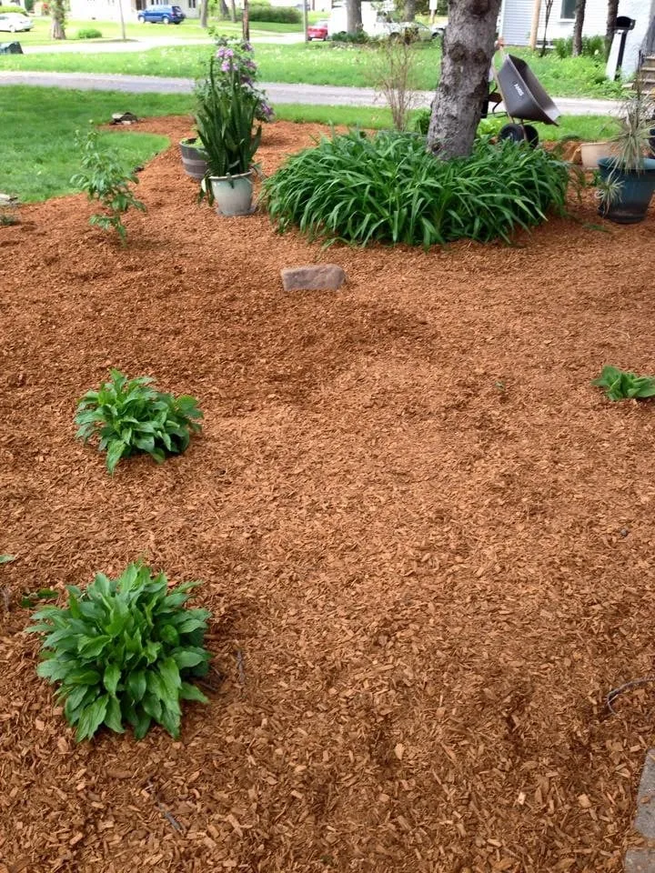 Local residential landscaping in Cedar Rapids, IA by Mow Joe Lawn and Landscape