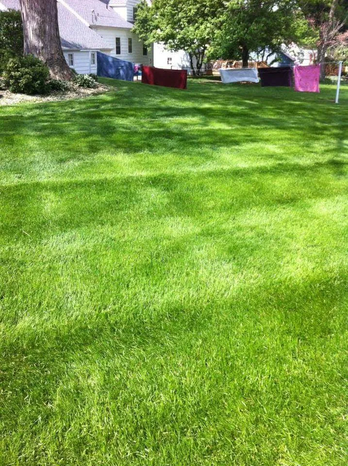 Top-rated lawn mowing service in Cedar Rapids, IA - Mow Joe Lawn and Landscape