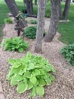 Custom garden landscaping in Cedar Rapids, IA by Mow Joe Lawn and Landscape