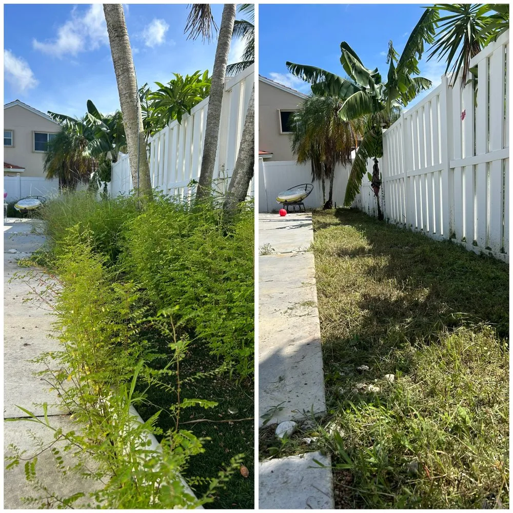 Affordable yard cleanup service experts serving Pembroke Pines, FL - Mow Joe Lawn Care