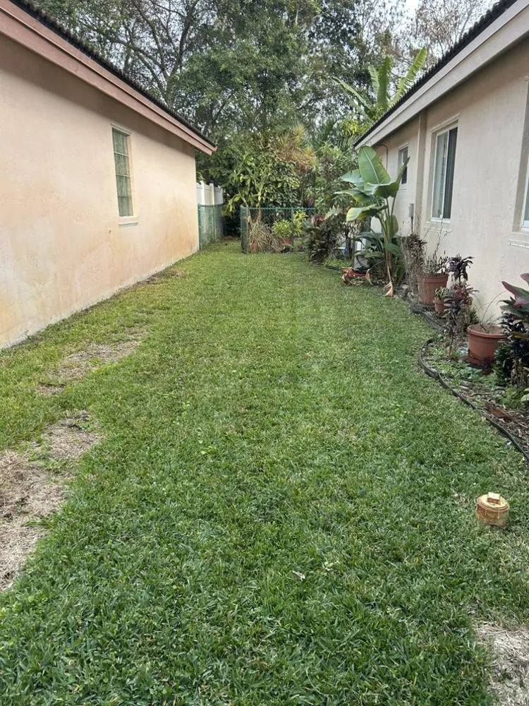 Custom yard maintenance for residential properties across Pembroke Pines, FL - Mow Joe Lawn Care