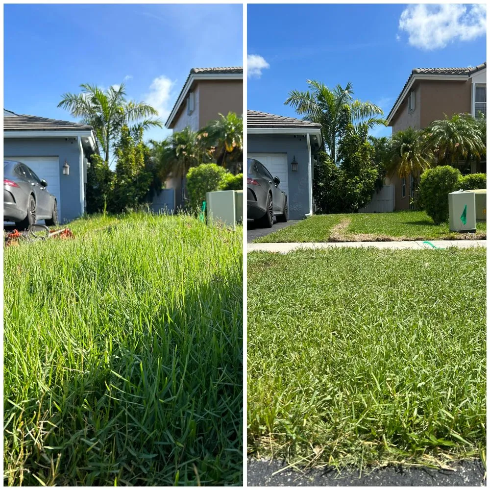 Custom landscape installation experts serving Pembroke Pines, FL - Mow Joe Lawn Care