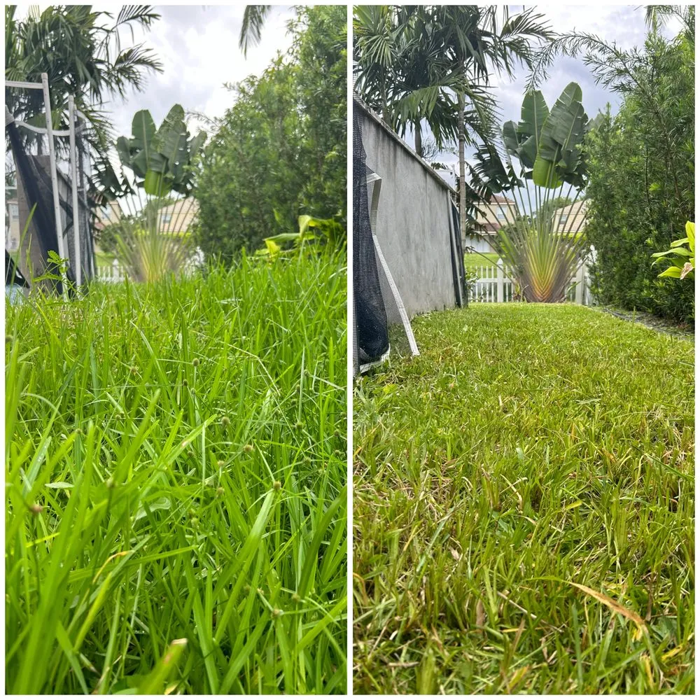 Trusted residential landscaping in Pembroke Pines, FL - Mow Joe Lawn Care