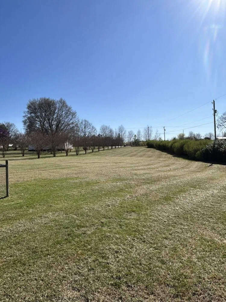 Professional landscape installation for residential properties in Cowpens, SC by Mow Magic and More