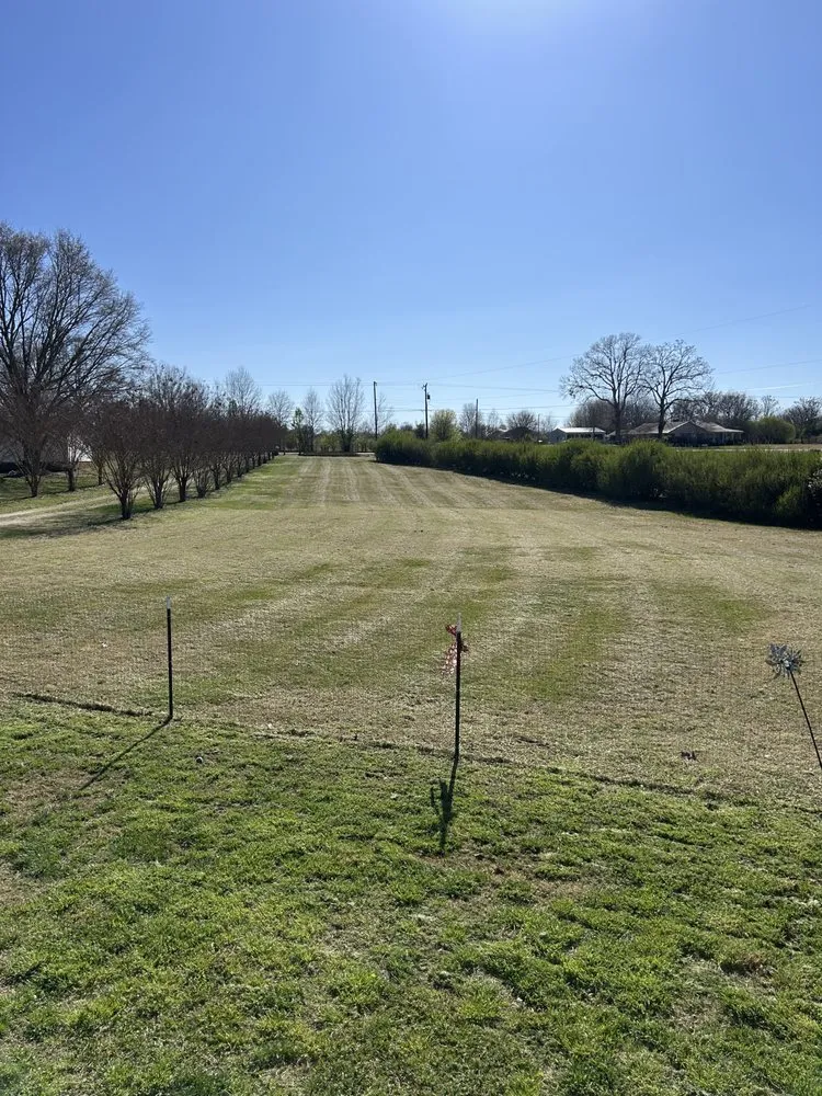 Reliable landscape design for beautiful yards across Cowpens, SC - Mow Magic and More