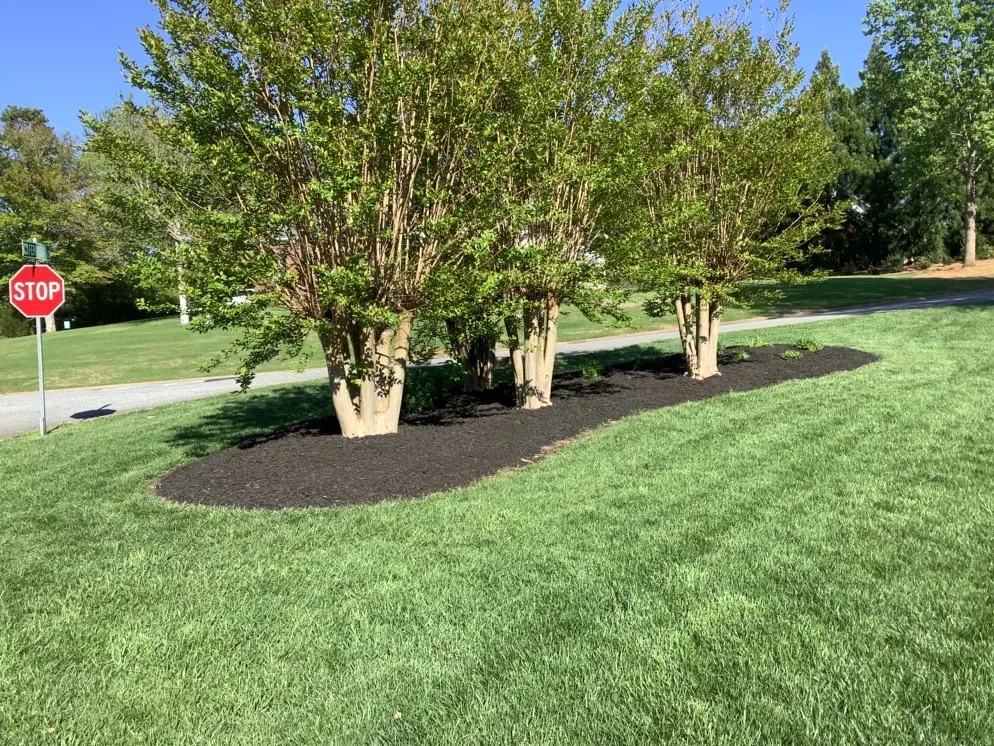 Custom landscape design for homes across Cowpens, SC - Mow Magic and More