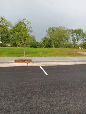 Mow Man Lawnmowing Service Logo