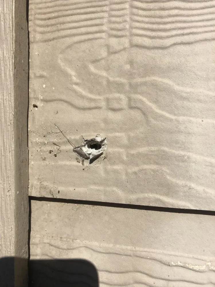 Local outdoor landscaping for residential properties in Austin, TX by Mow Managers