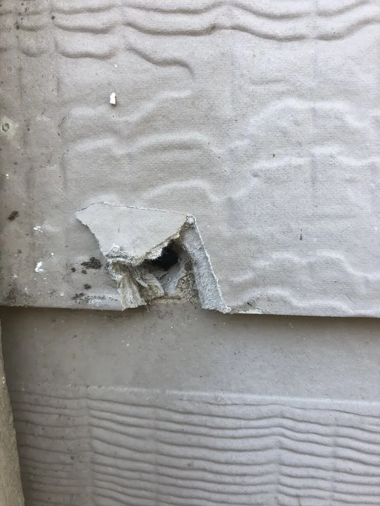 Reliable outdoor landscaping in Austin, TX by Mow Managers