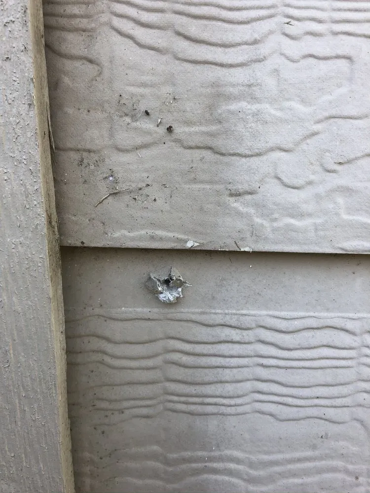 Reliable residential landscaping experts serving Austin, TX - Mow Managers