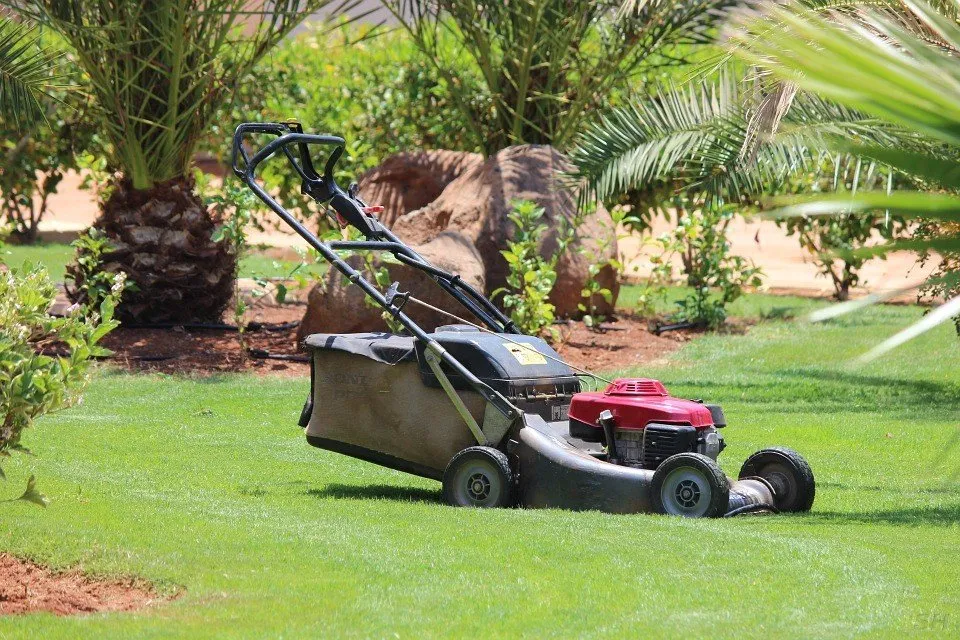 Expert yard maintenance in Austin, TX by Mow Managers