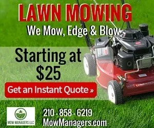 Top-rated lawn care service for homes across Austin, TX - Mow Managers