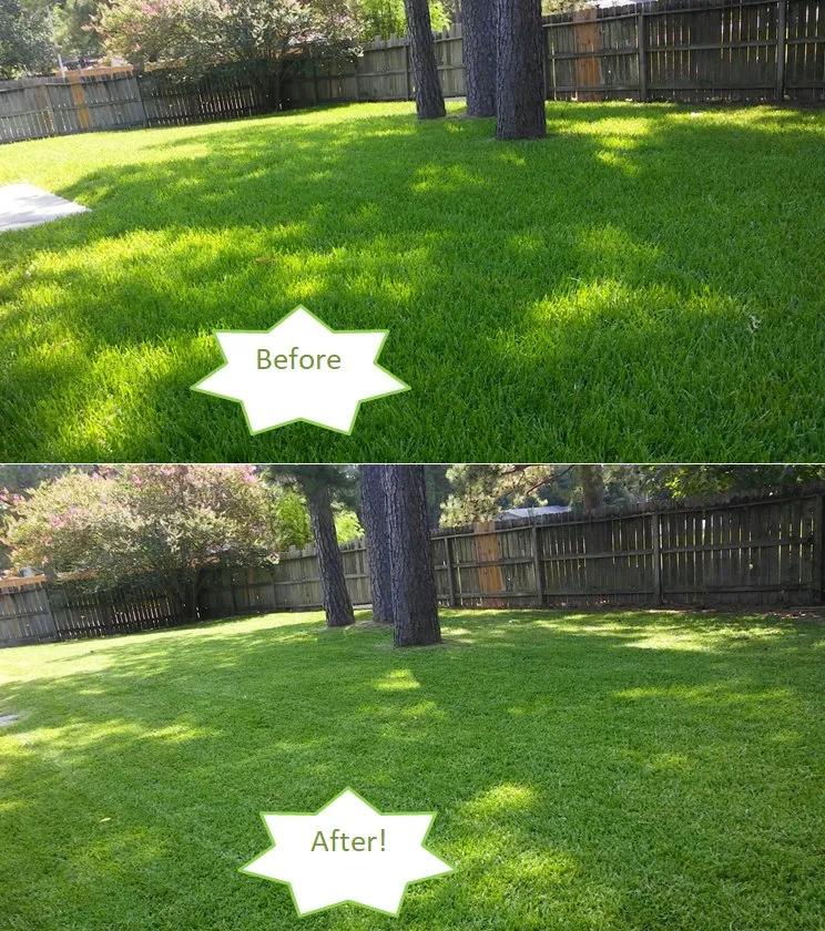 Expert garden landscaping near you in Fort Worth, TX by Mow Managers