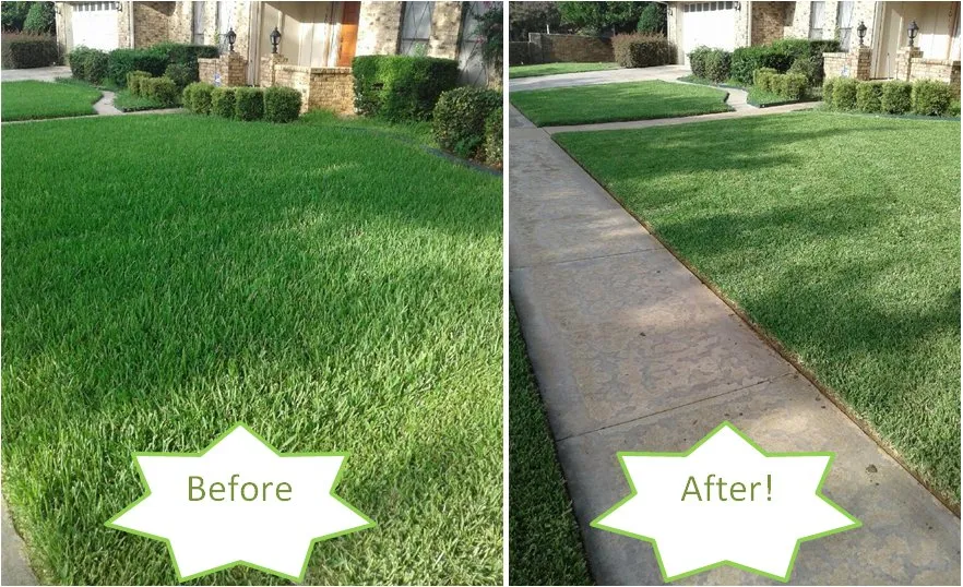 Professional residential landscaping experts serving Houston, TX - Mow Managers