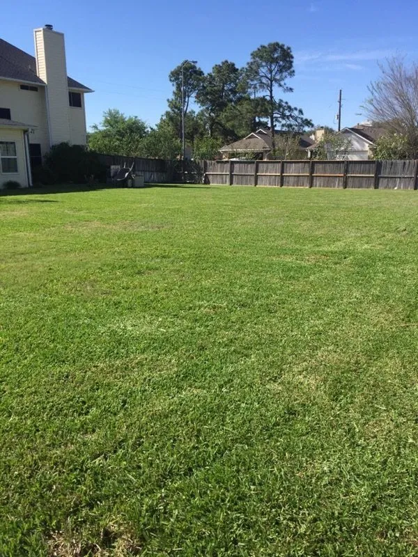 Trusted yard maintenance in Houston, TX by Mow Managers