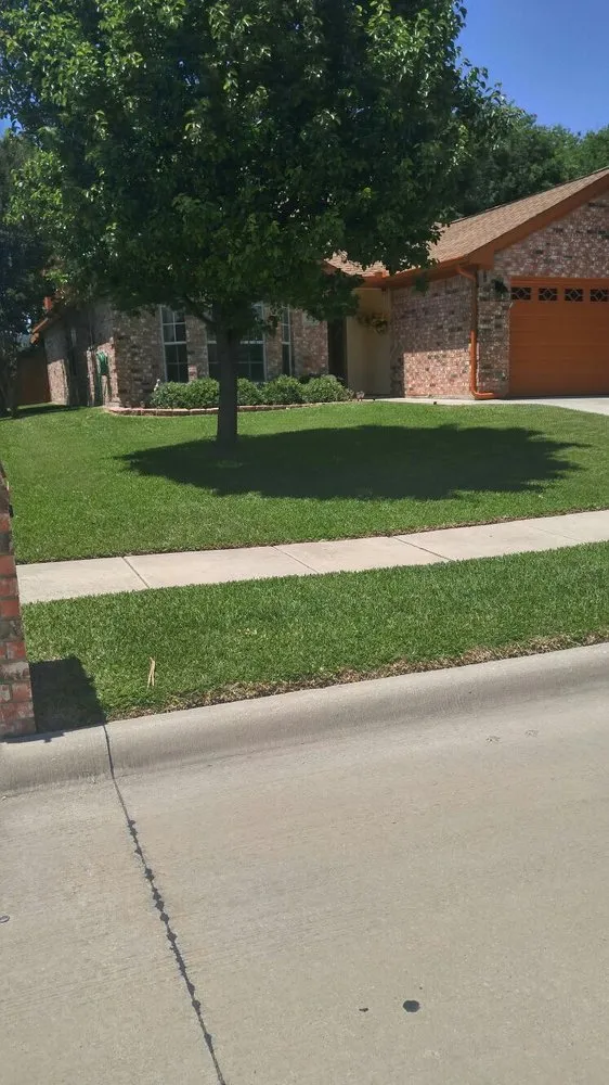 Expert landscaping services in Houston, TX - Mow Managers