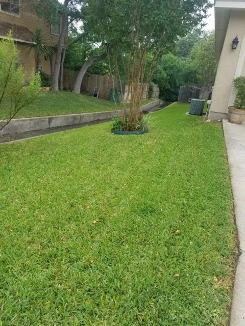 Affordable landscape installation in Houston, TX by Mow Managers
