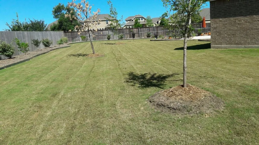 Expert landscaping services in McKinney, TX by Mow Managers