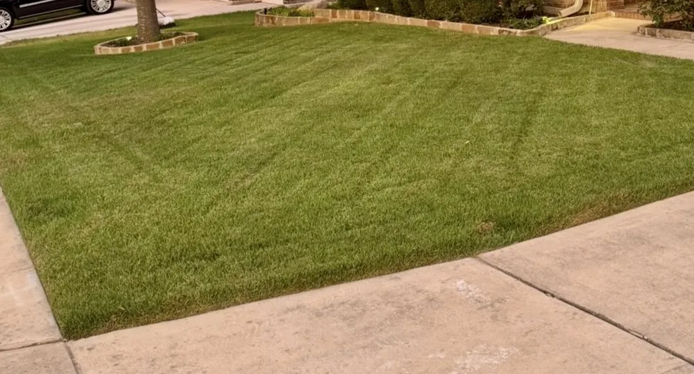 Trusted landscape installation in San Antonio, TX - Mow Managers