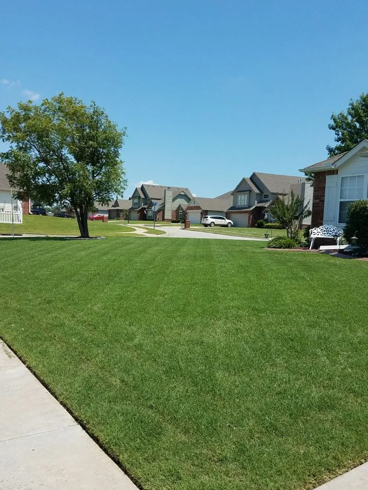Professional yard maintenance in San Antonio, TX by Mow Managers