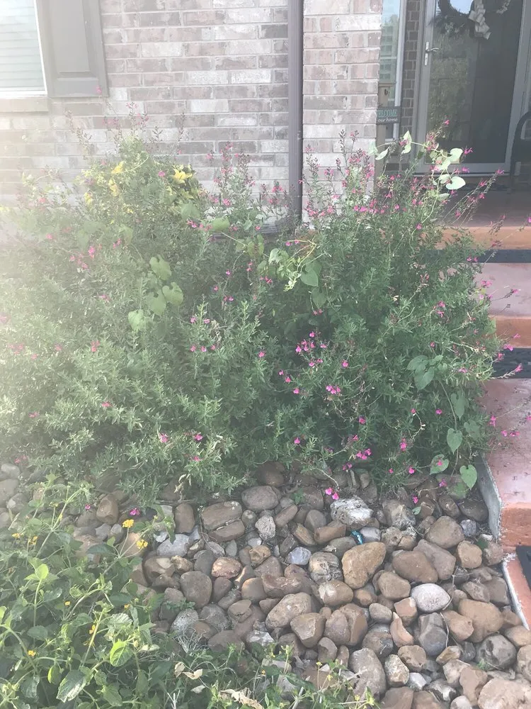 Reliable outdoor landscaping in San Antonio, TX - Mow Managers