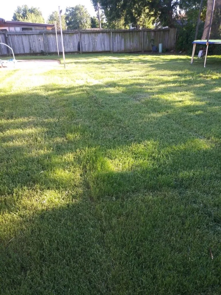 Expert landscape installation for year-round maintenance in Tulsa, OK by Mow Managers