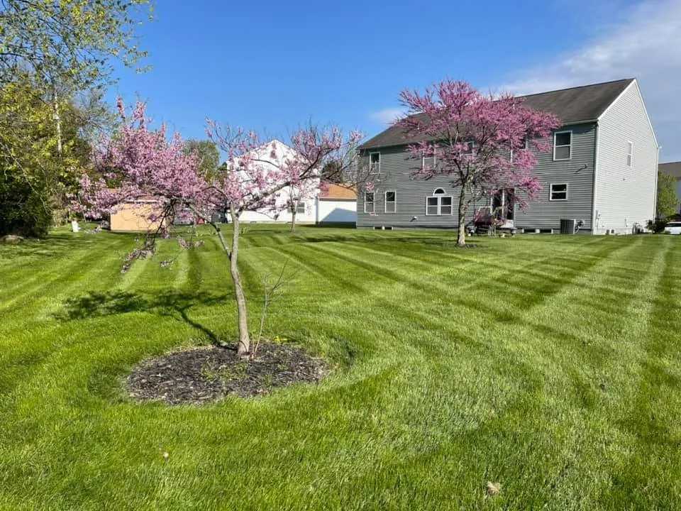 Local lawn care service near you in Groveport, OH by Mow Master