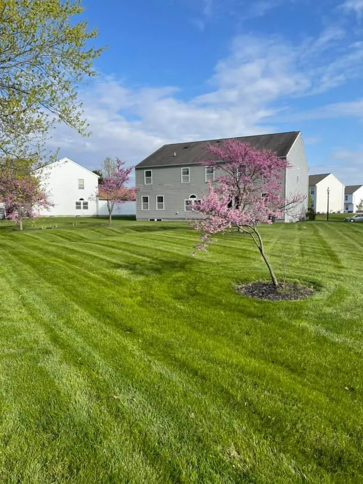 Professional garden landscaping experts serving Groveport, OH - Mow Master