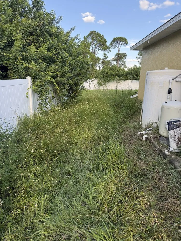 Custom landscape installation near you across Immokalee, FL - Mow Masters