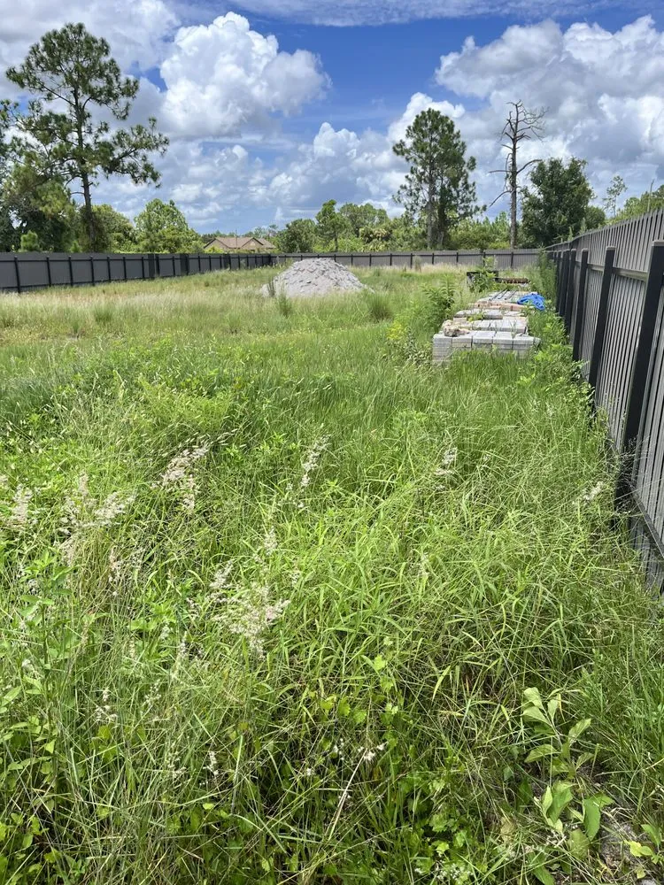 Affordable lawn care service in Immokalee, FL by Mow Masters