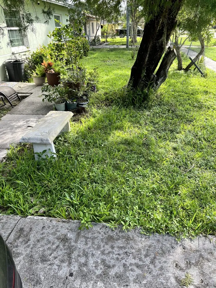 Top-rated garden landscaping experts serving Immokalee, FL - Mow Masters