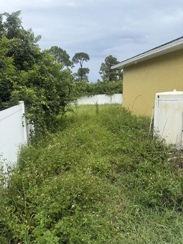 Expert lawn care service in Immokalee, FL by Mow Masters