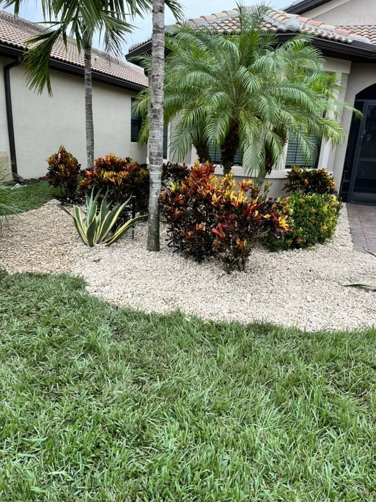 Local outdoor landscaping experts serving Immokalee, FL - Mow Masters