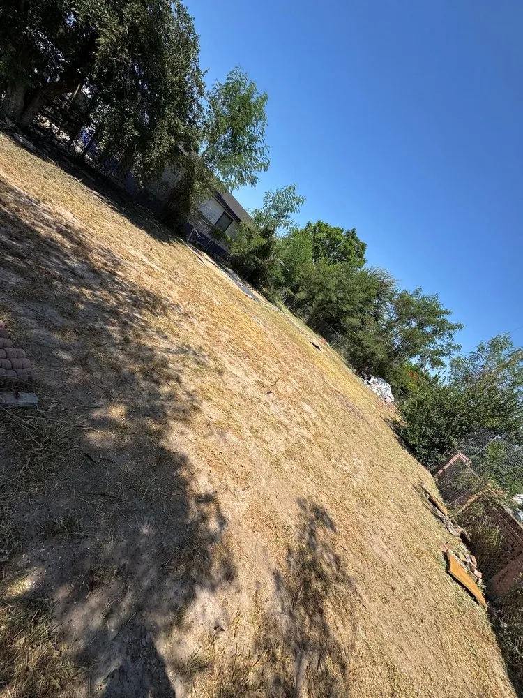 Top-rated landscape design in Mission, TX by Mow Master’s Lawn Care & Maintenance