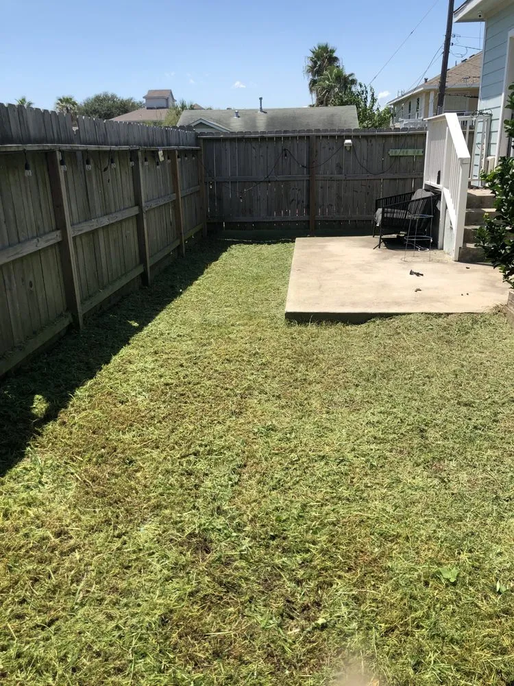 Top-rated garden landscaping experts serving Galveston, TX - Mow Me Down Lawn Service